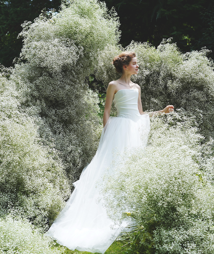 TREATの世界観(The World of TREAT)