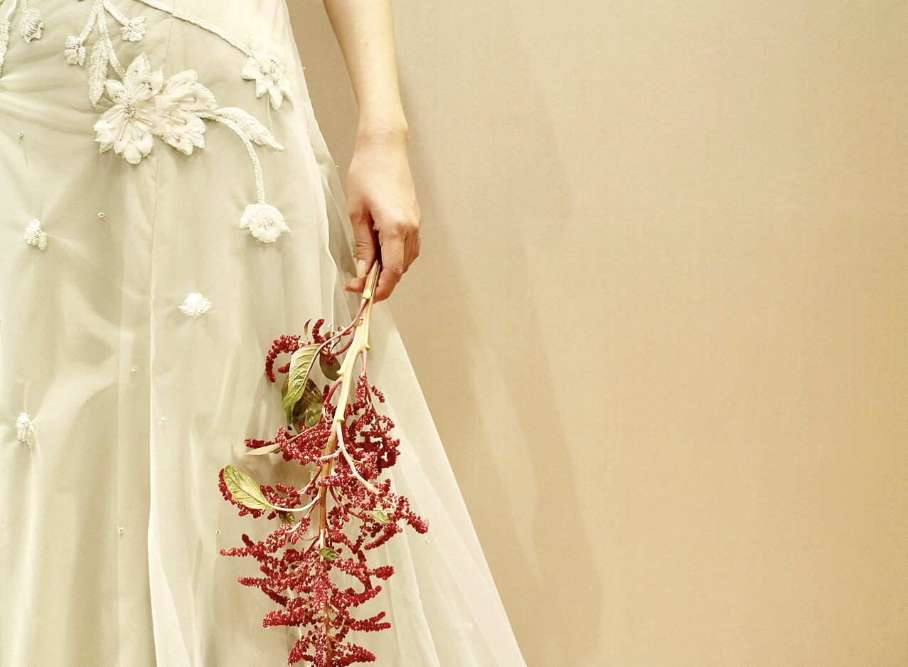 新作カラードレスのご紹介 ～Alexandra Grecco（アレクサンドラ  