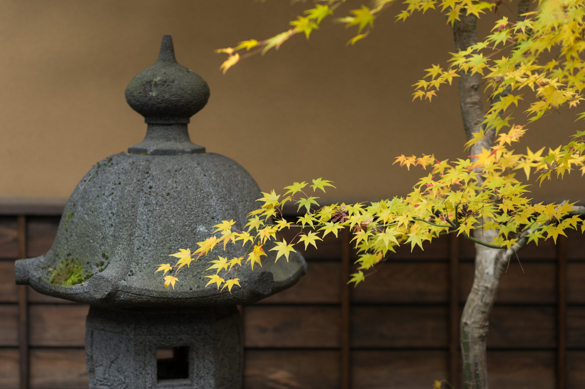 日本庭園が美しい藤屋御本陳での結婚式｡