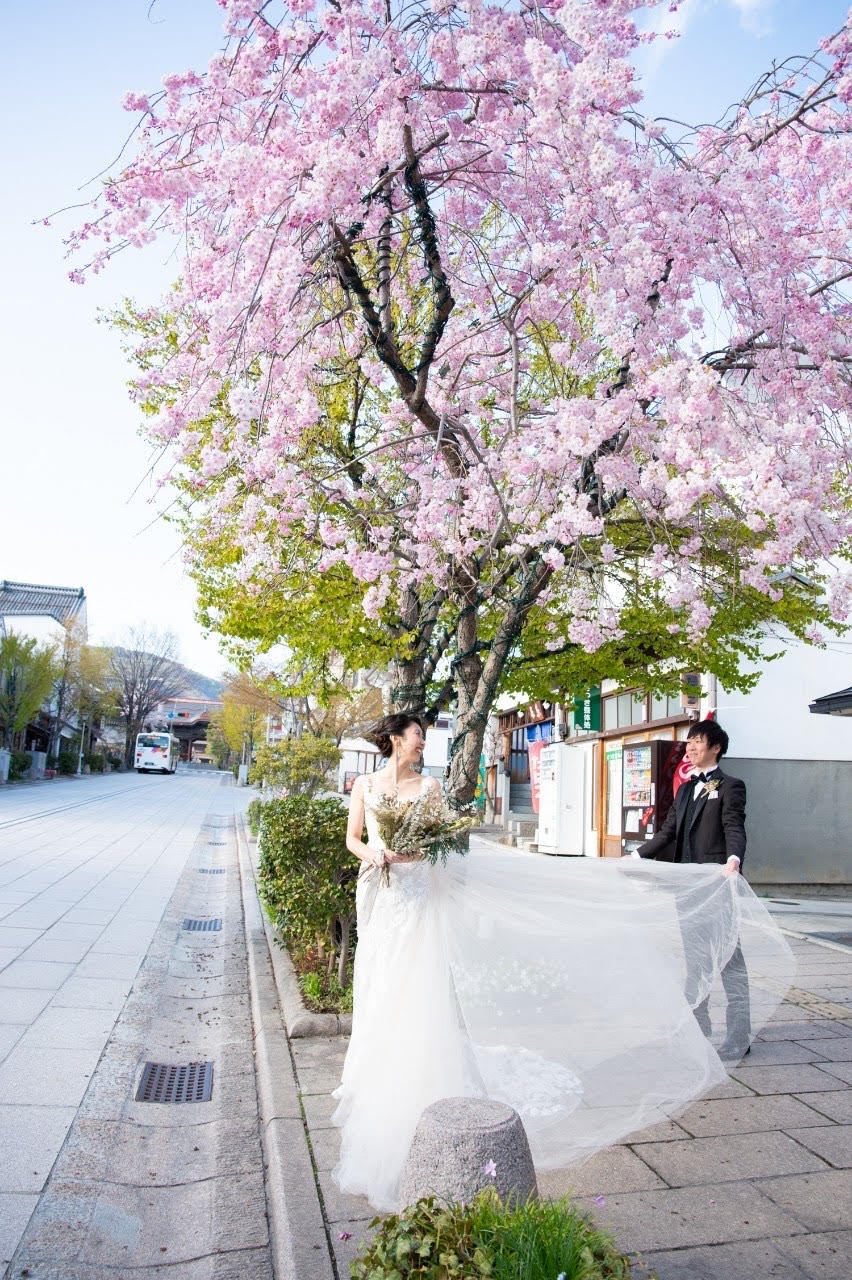 THE TREAT DRESSING長野店のスレンダーラインのウェディングドレスをお召しになり桜の下で前撮り
