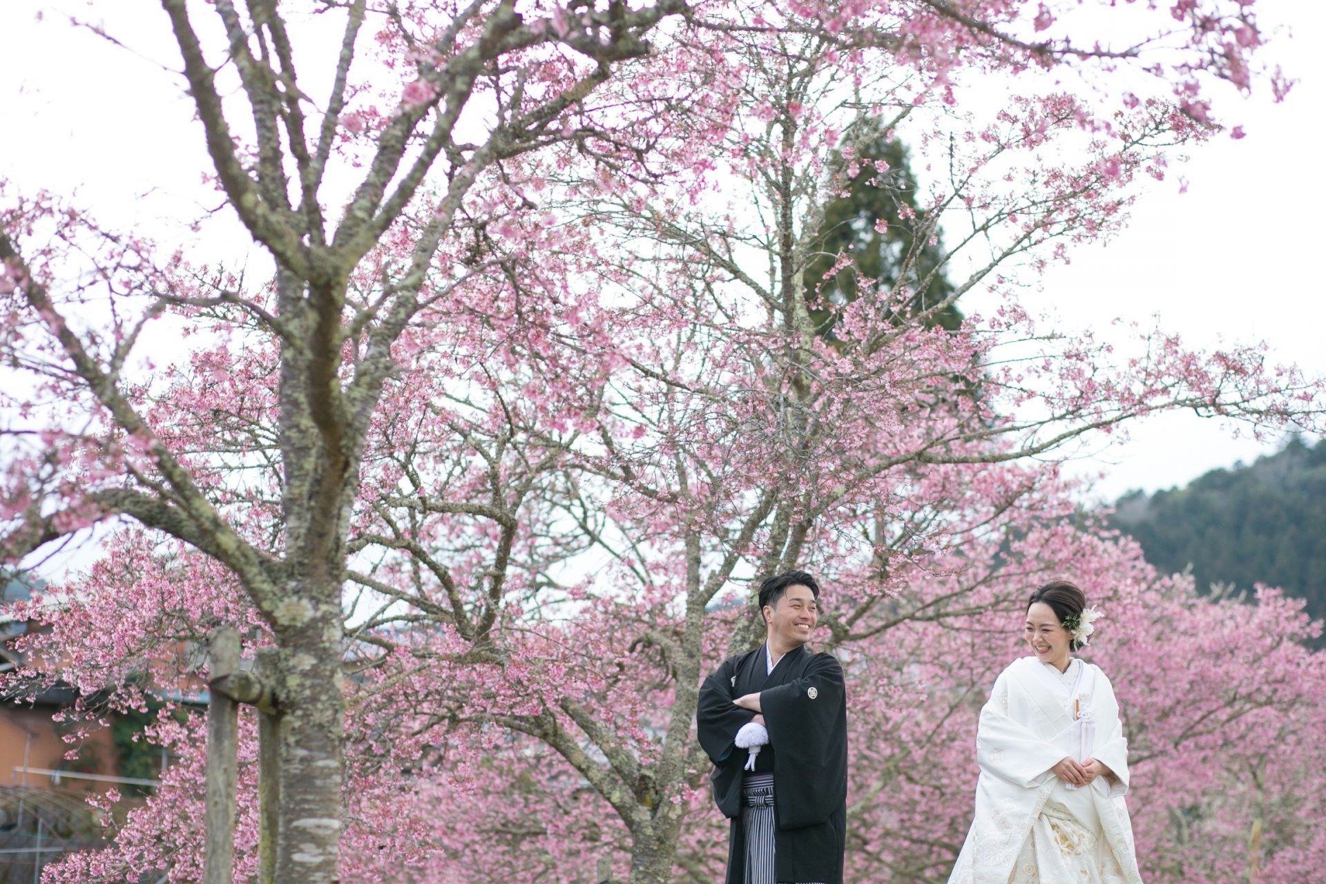 神戸のロケーションで桜の時期に前撮りをされたお二人をご紹介します