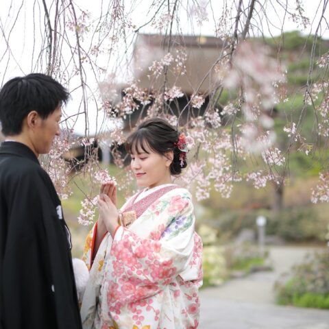 色打掛に合わせた赤色の掛下着物と桜の色合わせがモダンな前撮り写真