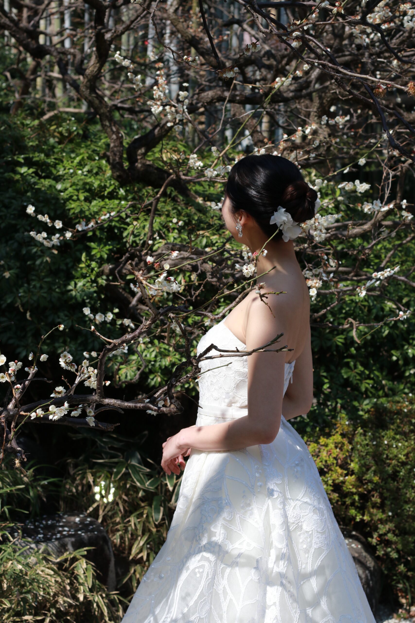 四季の自然を感じることのできる結婚式会場八芳園ではザ トリート ドレッシング　アディション店で人気のエリー サーブ ブライドのレースAラインのウェディングドレスがおすすめです