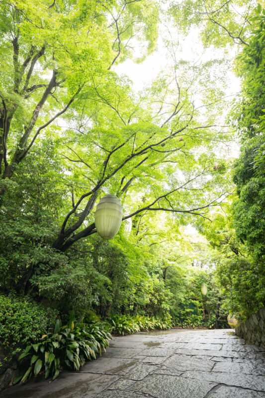 京都の結婚式場ザソウドウ東山京都のおしゃれな結婚式のパーティーレポート